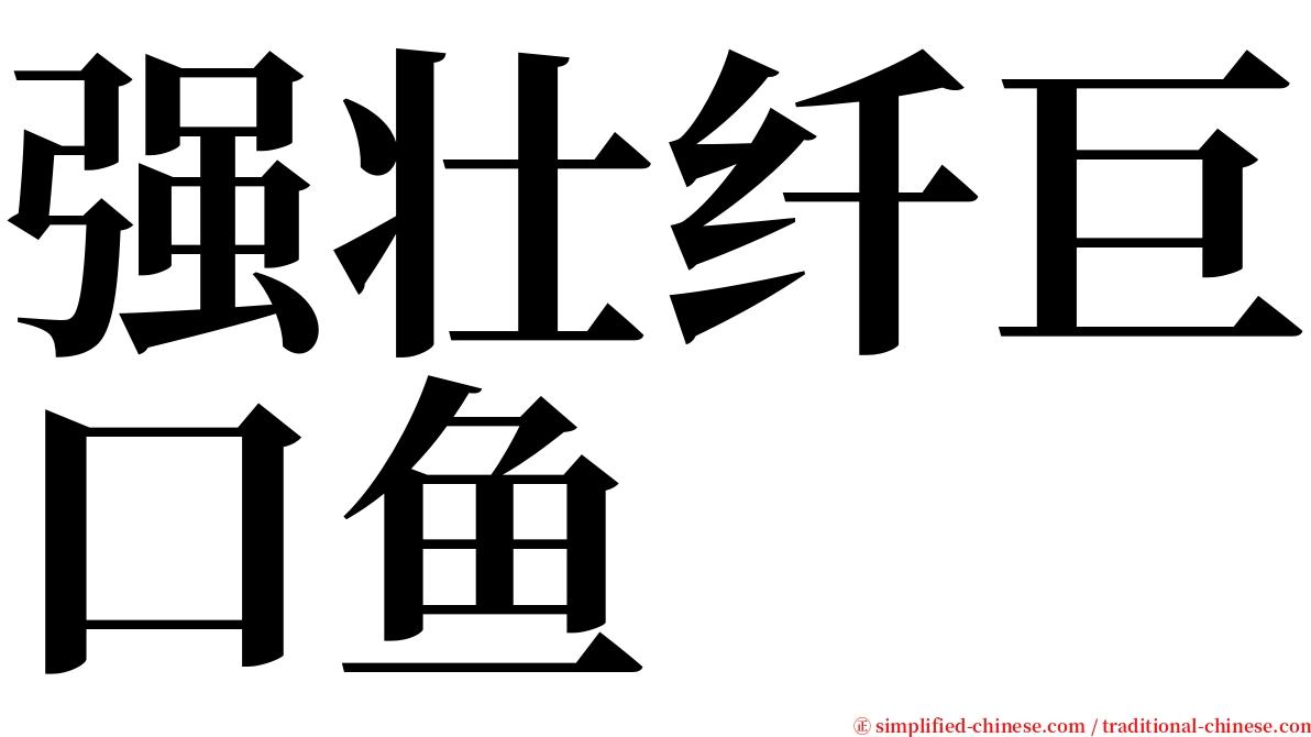 强壮纤巨口鱼 serif font