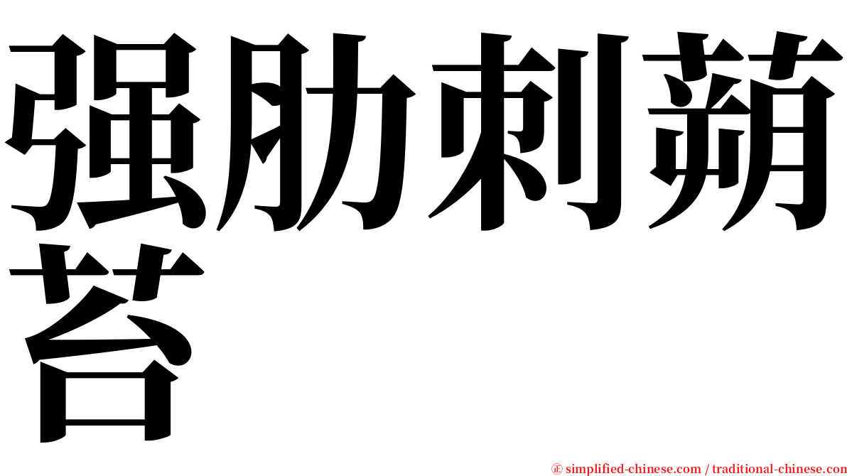 强肋刺蒴苔 serif font