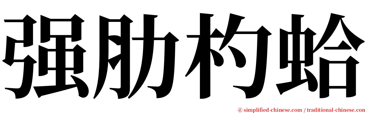 强肋杓蛤 serif font