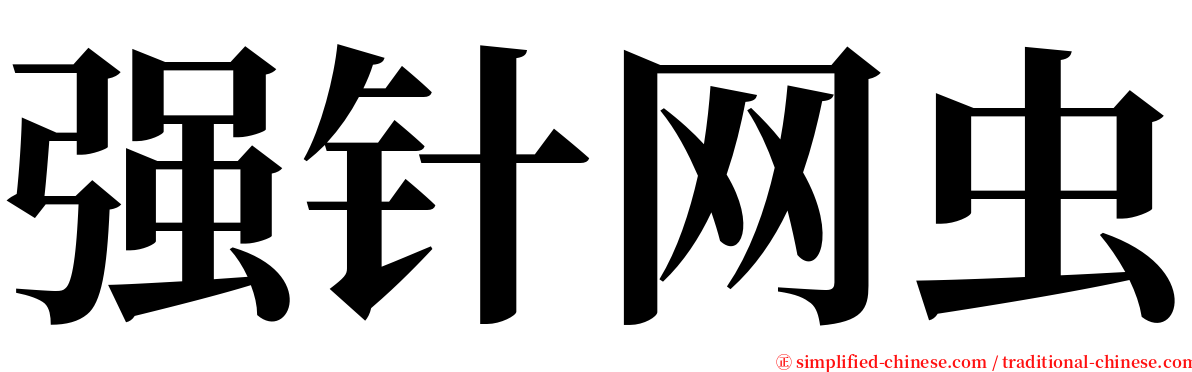 强针网虫 serif font