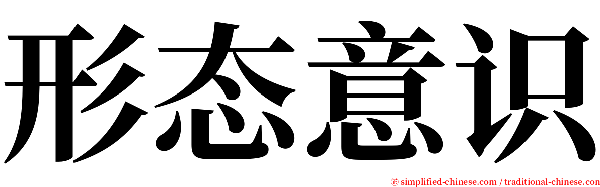 形态意识 serif font