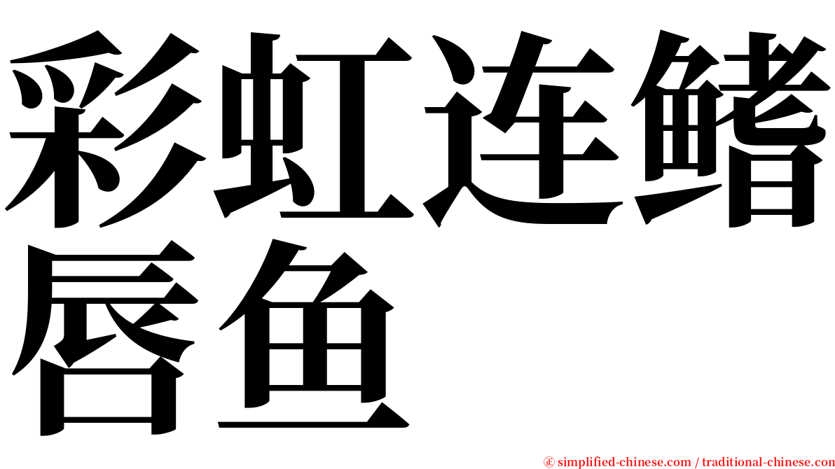 彩虹连鳍唇鱼 serif font