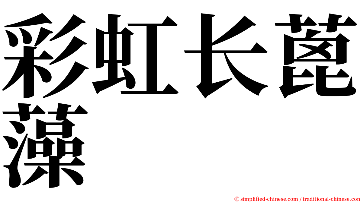 彩虹长蓖藻 serif font