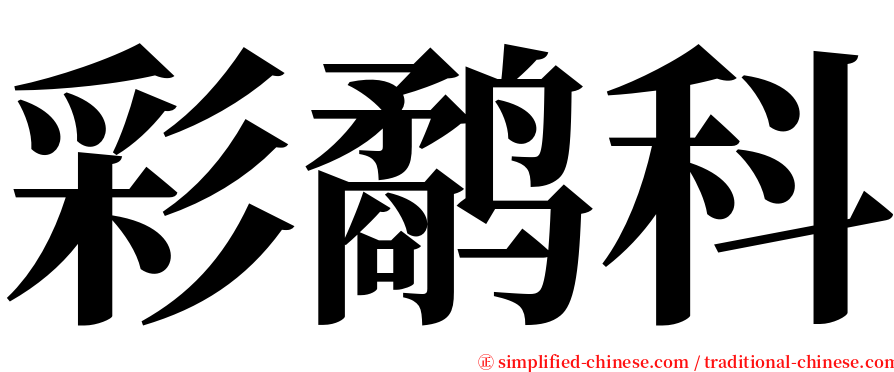 彩鹬科 serif font