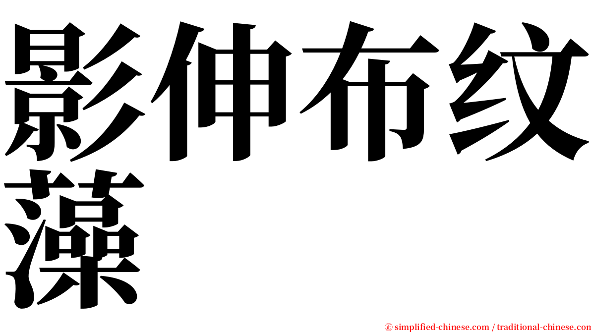 影伸布纹藻 serif font