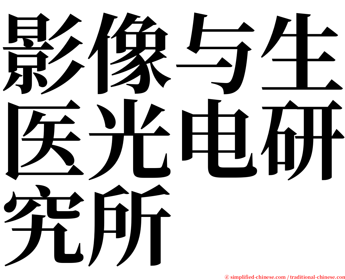 影像与生医光电研究所 serif font