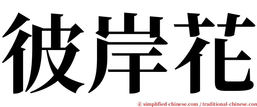 彼岸花 serif font