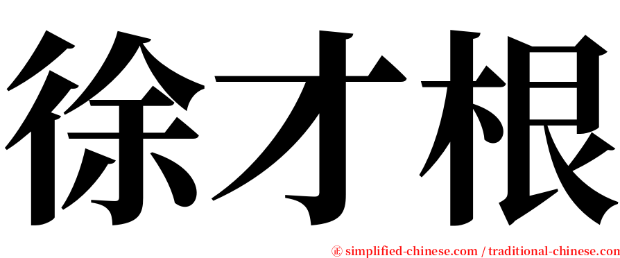 徐才根 serif font