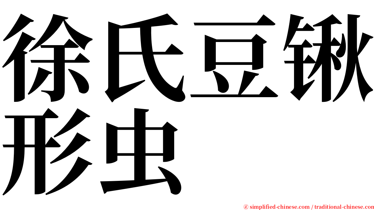 徐氏豆锹形虫 serif font