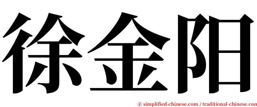 徐金阳 serif font