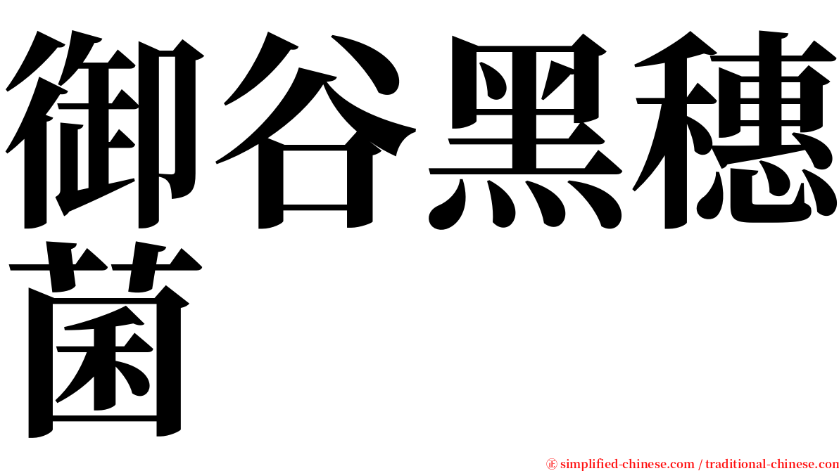 御谷黑穗菌 serif font