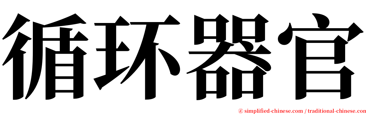 循环器官 serif font