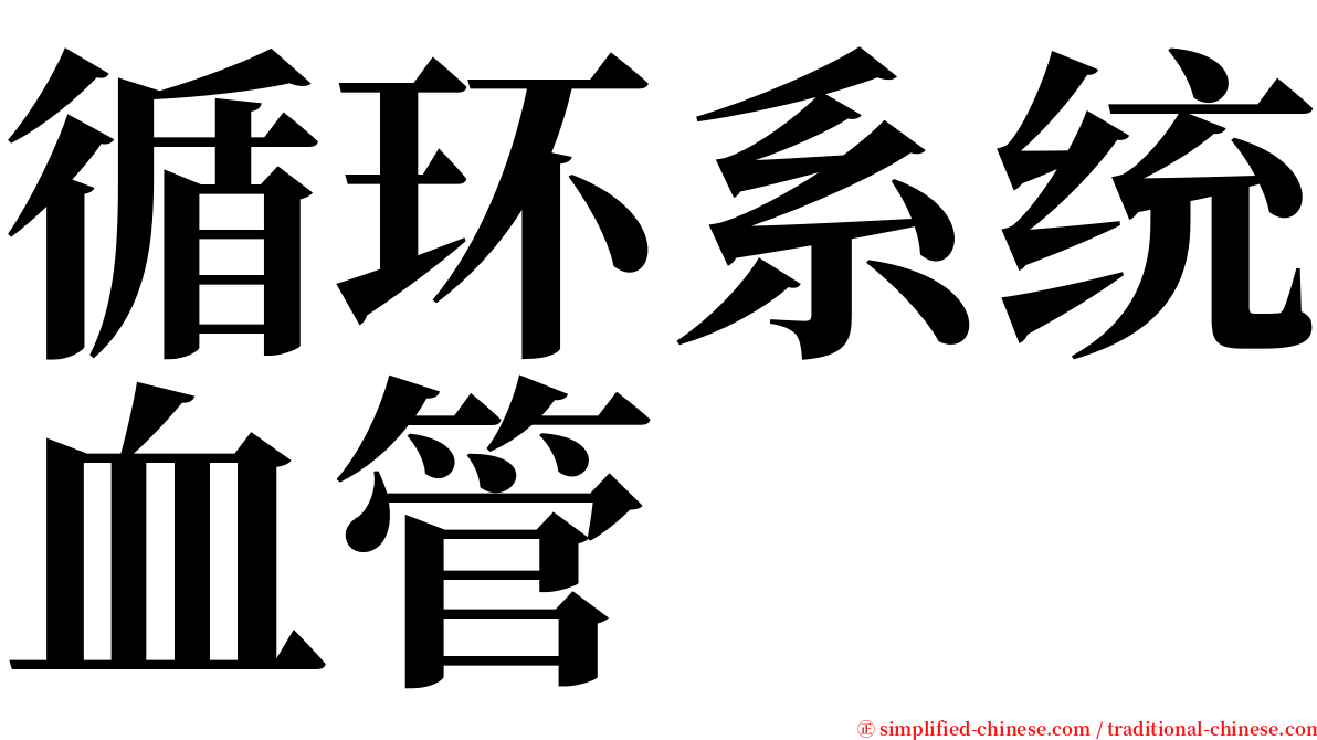 循环系统血管 serif font