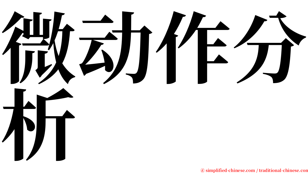 微动作分析 serif font