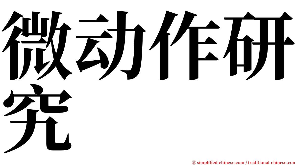 微动作研究 serif font