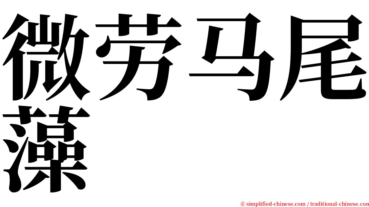 微劳马尾藻 serif font