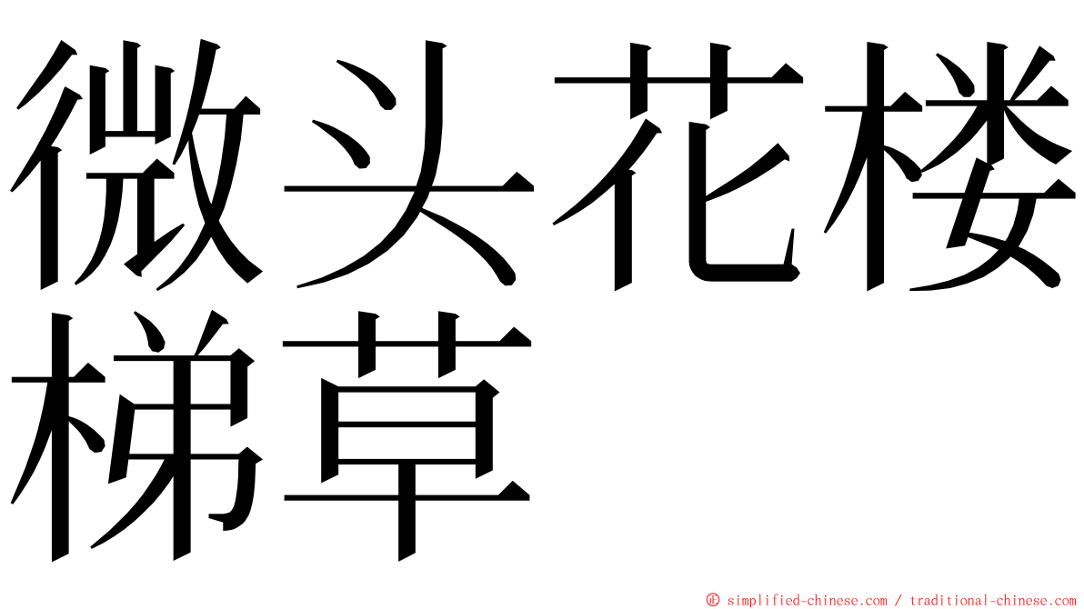 微头花楼梯草 ming font