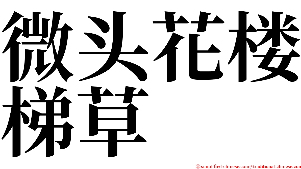 微头花楼梯草 serif font