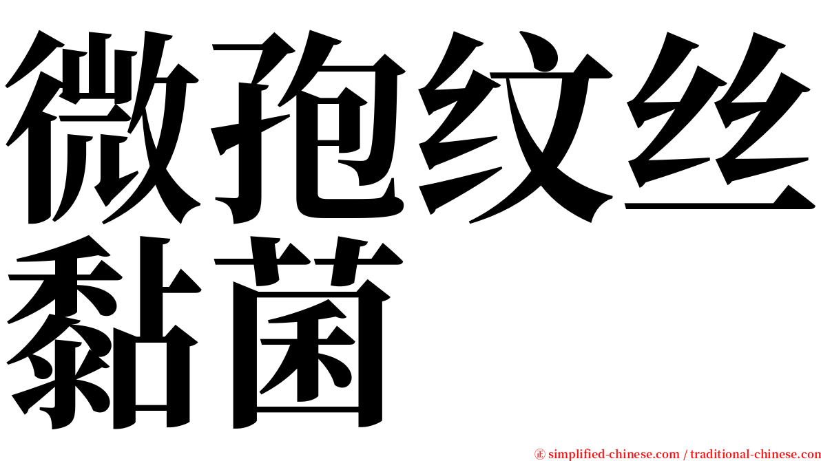 微孢纹丝黏菌 serif font