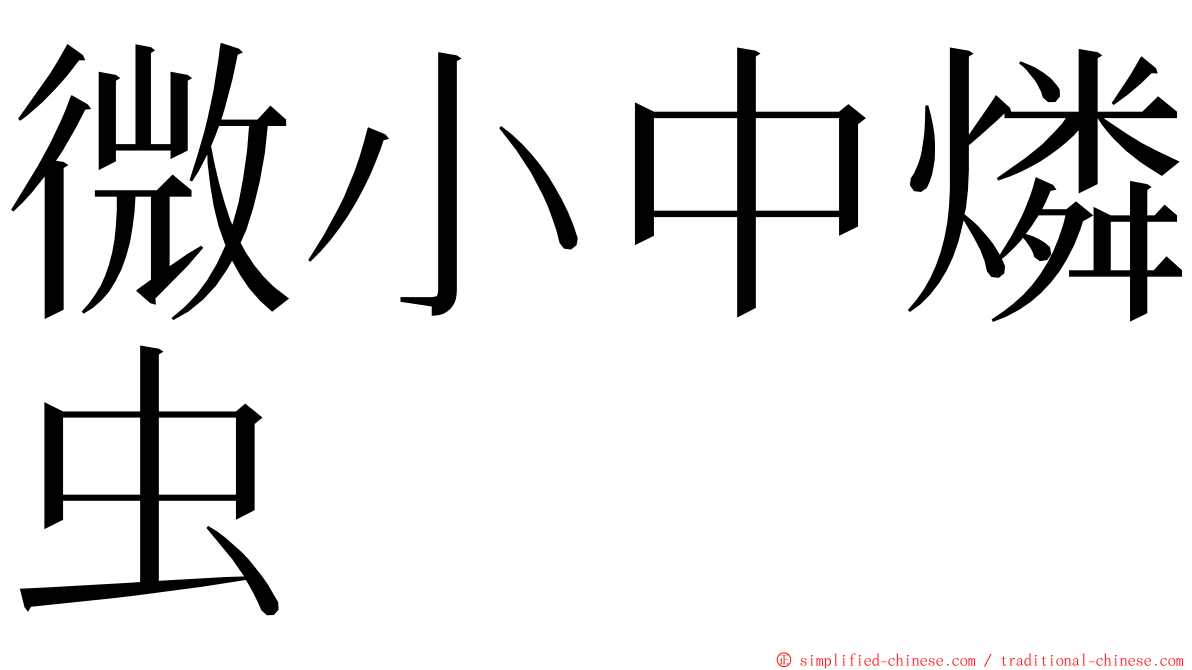 微小中燐虫 ming font