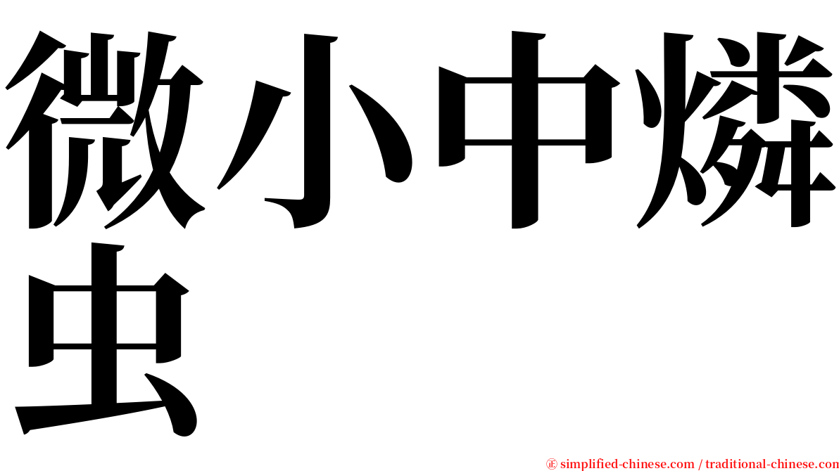 微小中燐虫 serif font