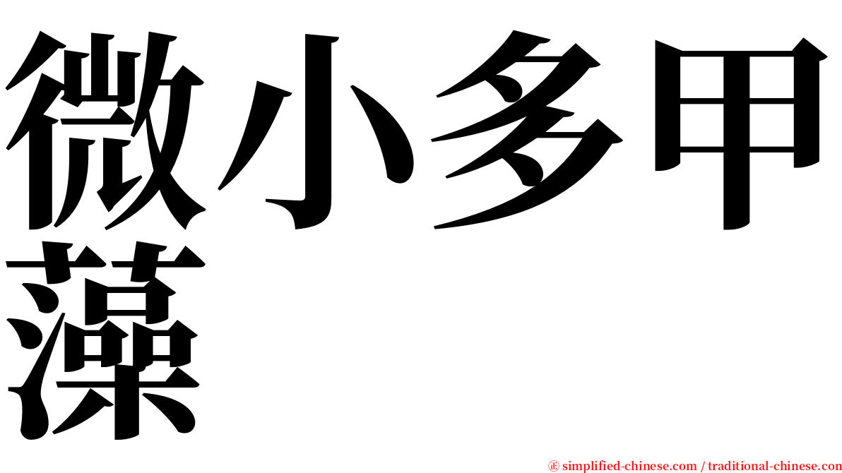 微小多甲藻 serif font