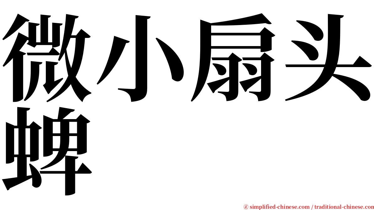 微小扇头蜱 serif font