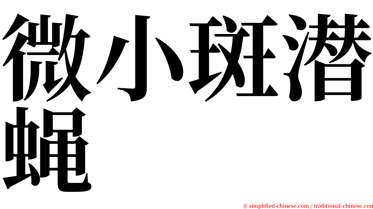 微小斑潜蝇 serif font