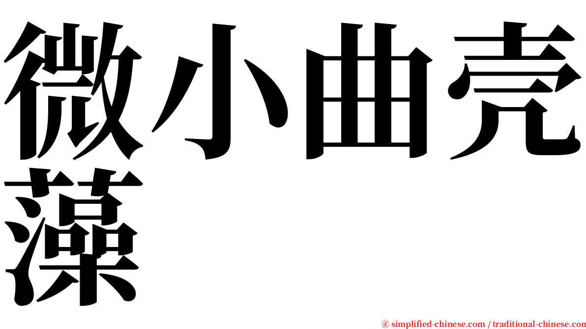 微小曲壳藻 serif font