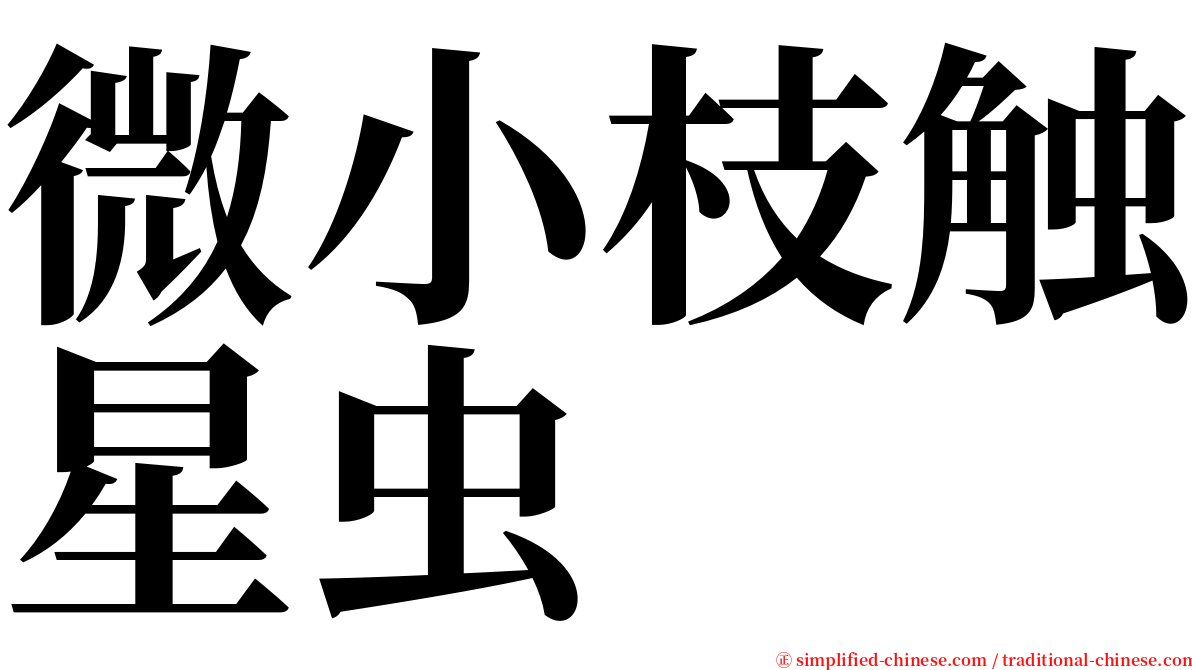 微小枝触星虫 serif font