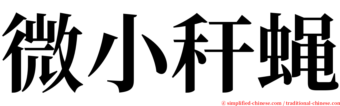 微小秆蝇 serif font