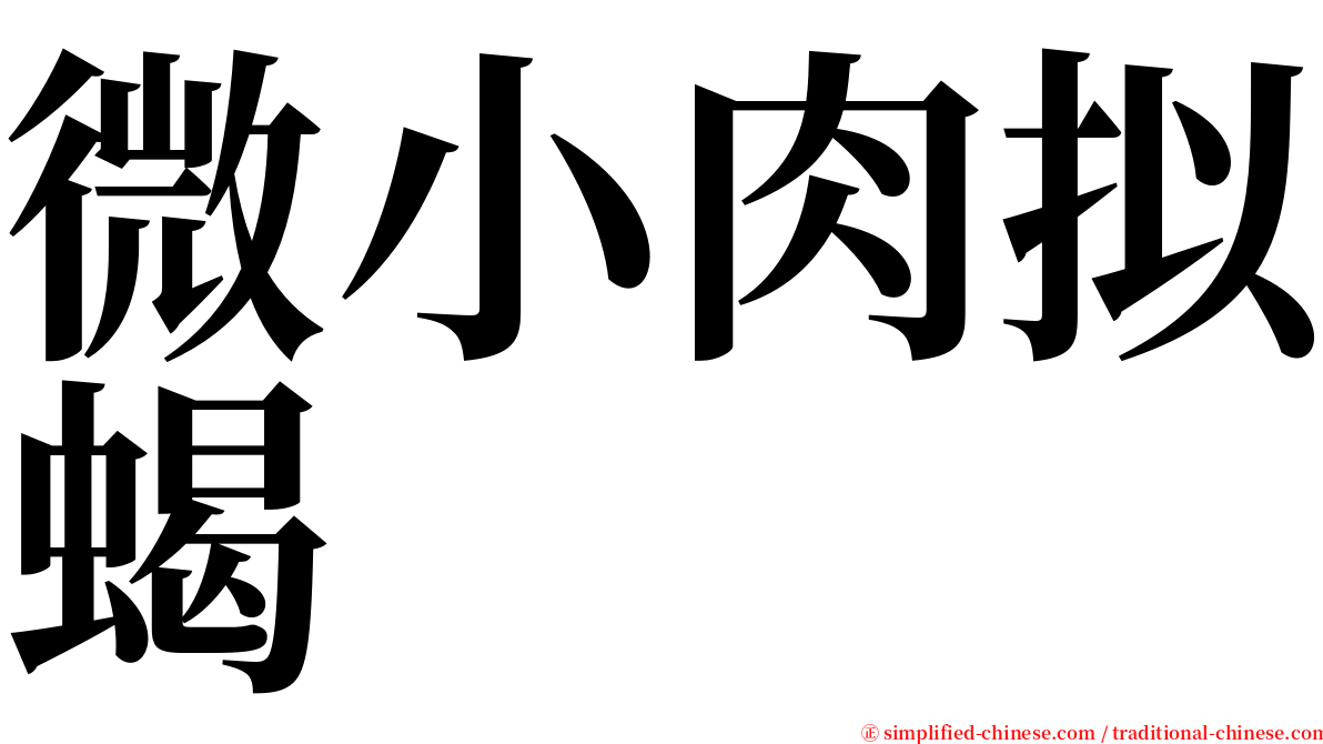 微小肉拟蝎 serif font