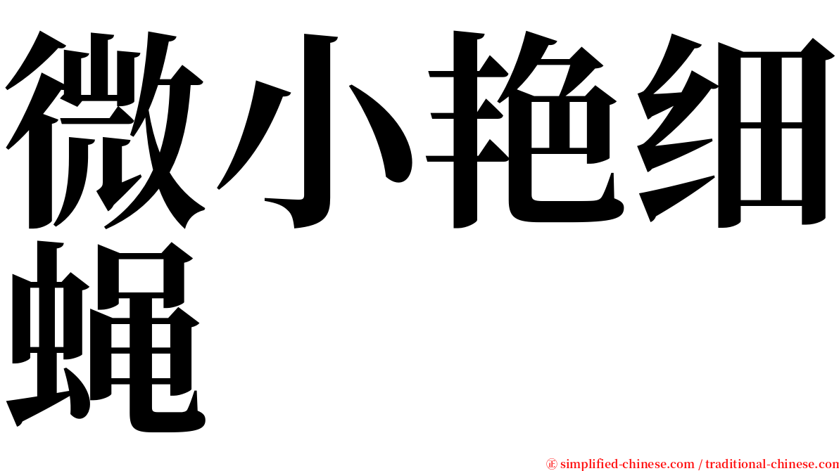 微小艳细蝇 serif font