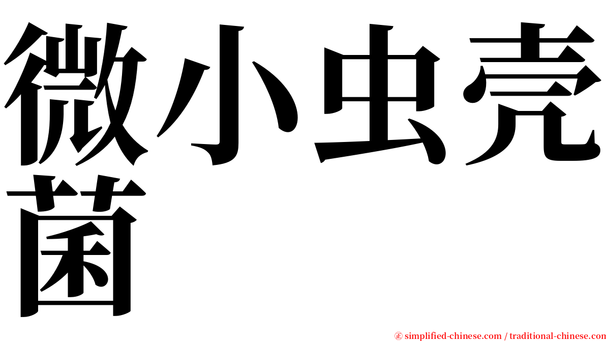 微小虫壳菌 serif font