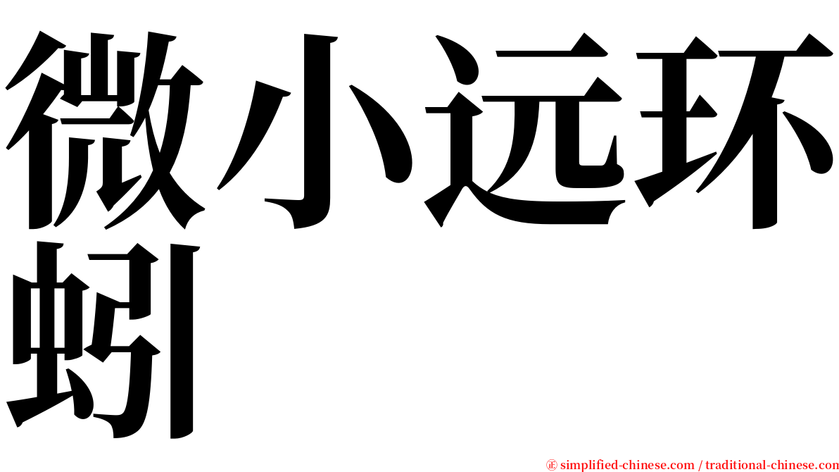 微小远环蚓 serif font