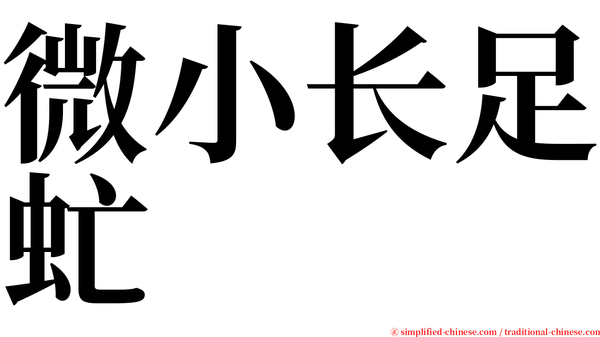 微小长足虻 serif font