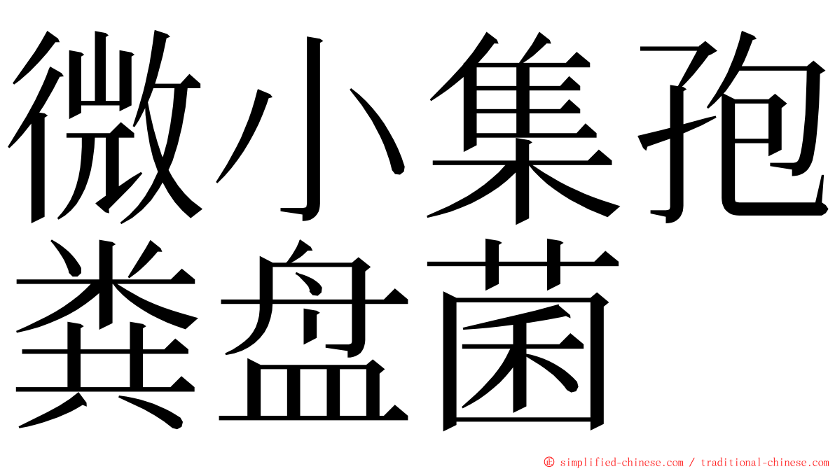 微小集孢粪盘菌 ming font