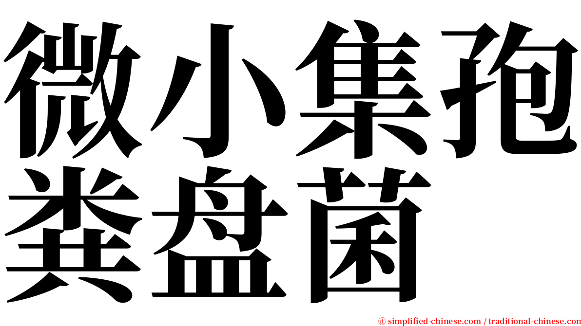 微小集孢粪盘菌 serif font