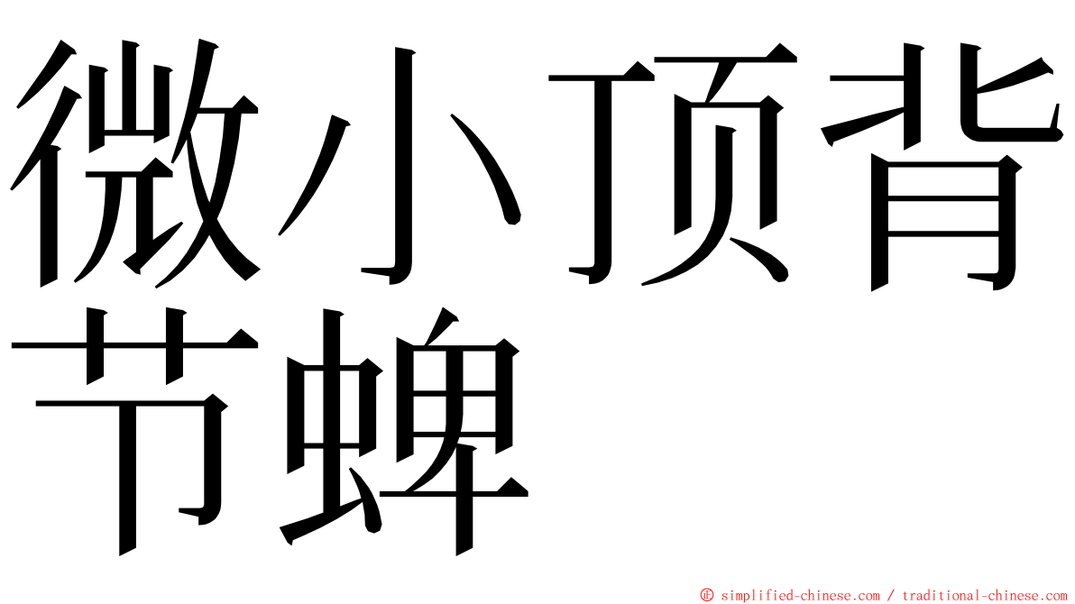 微小顶背节蜱 ming font