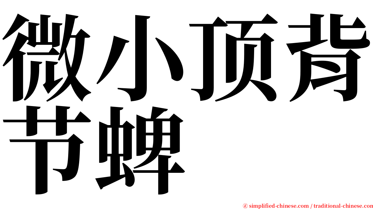 微小顶背节蜱 serif font