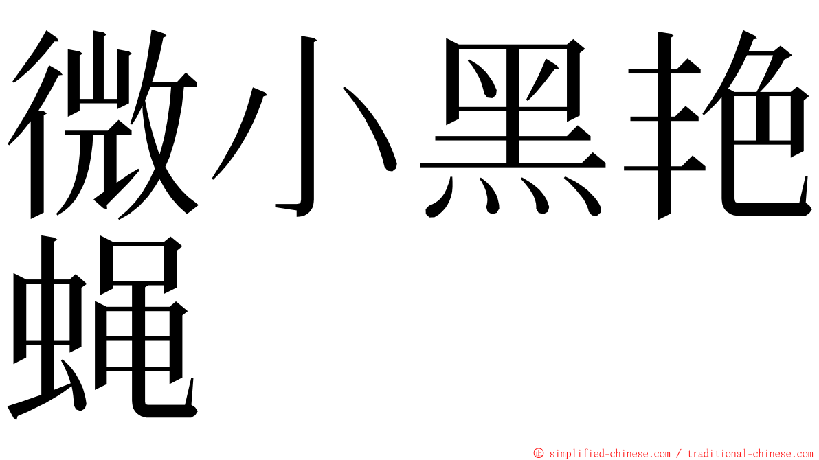 微小黑艳蝇 ming font