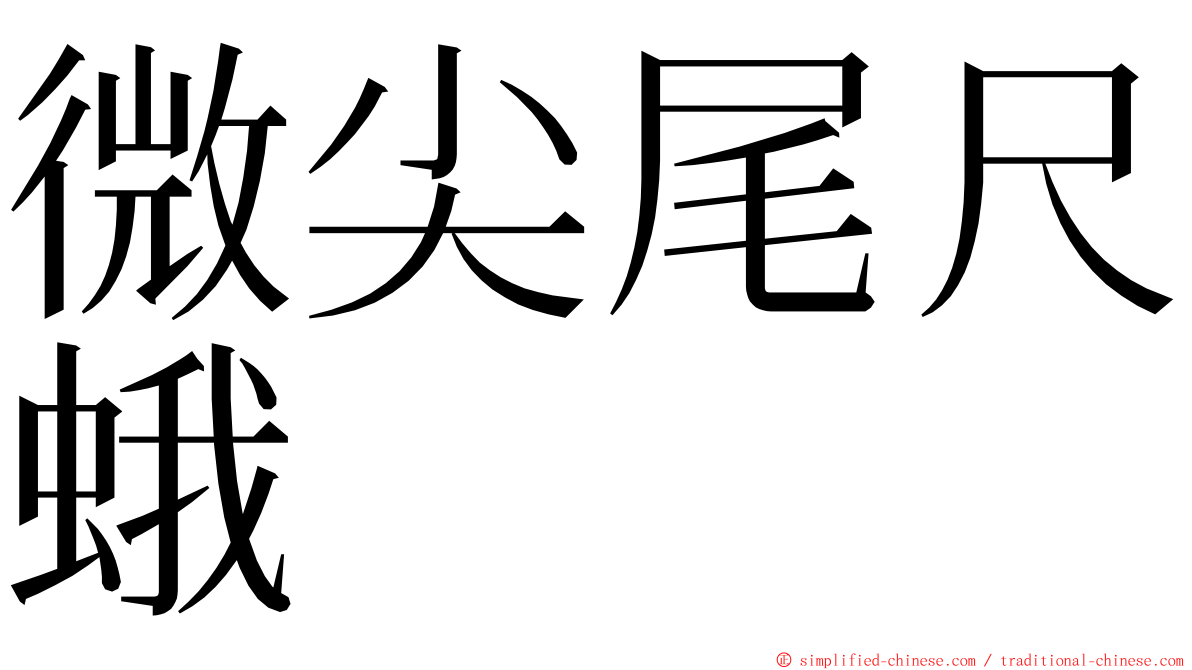 微尖尾尺蛾 ming font