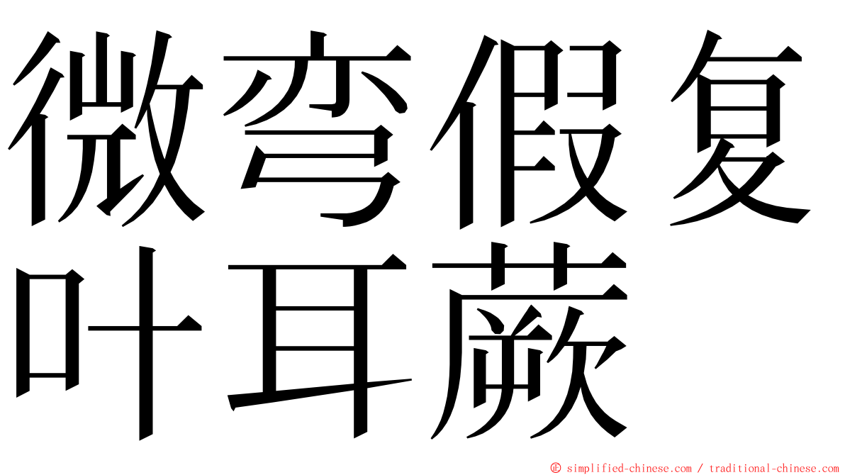 微弯假复叶耳蕨 ming font