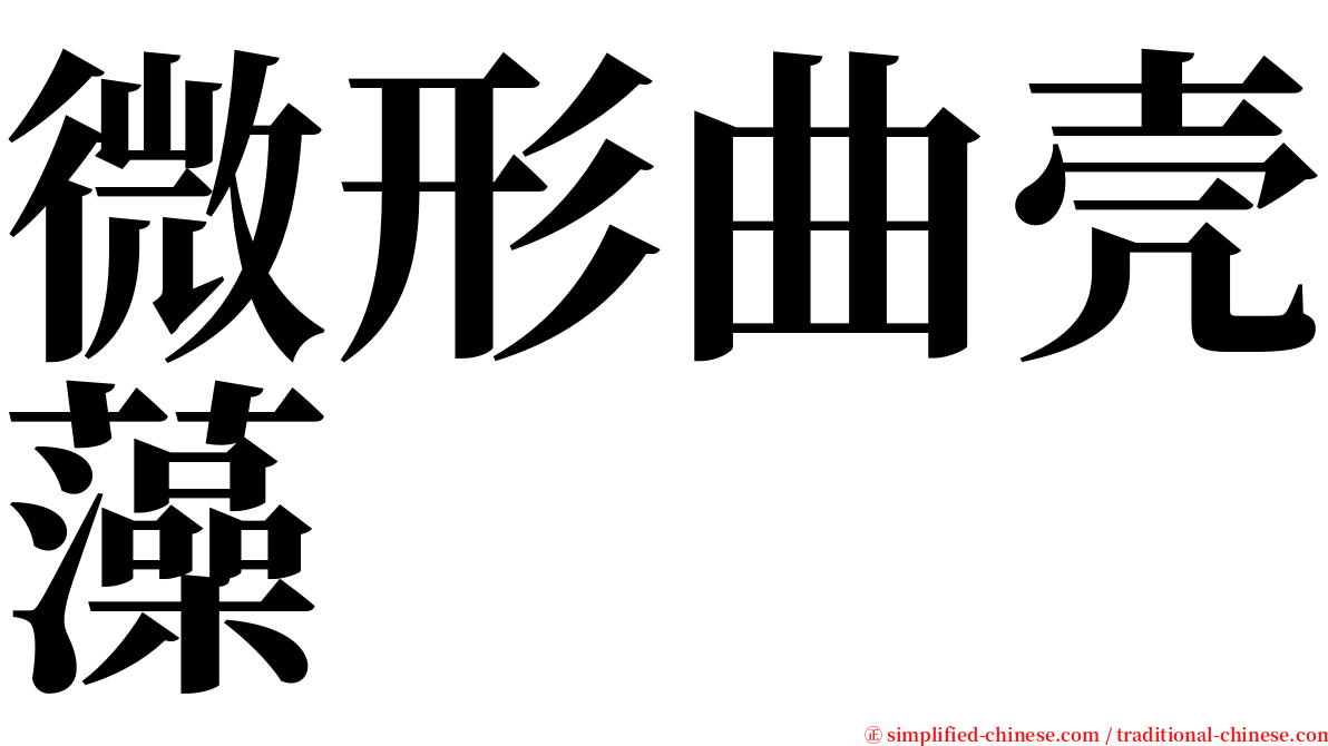 微形曲壳藻 serif font