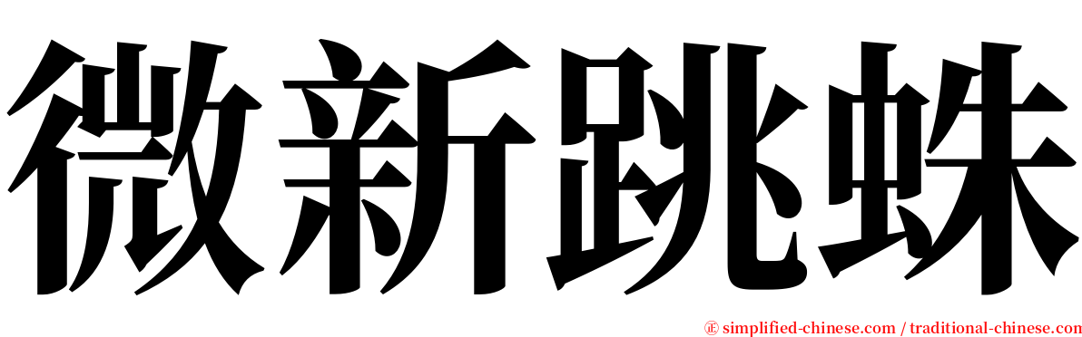 微新跳蛛 serif font