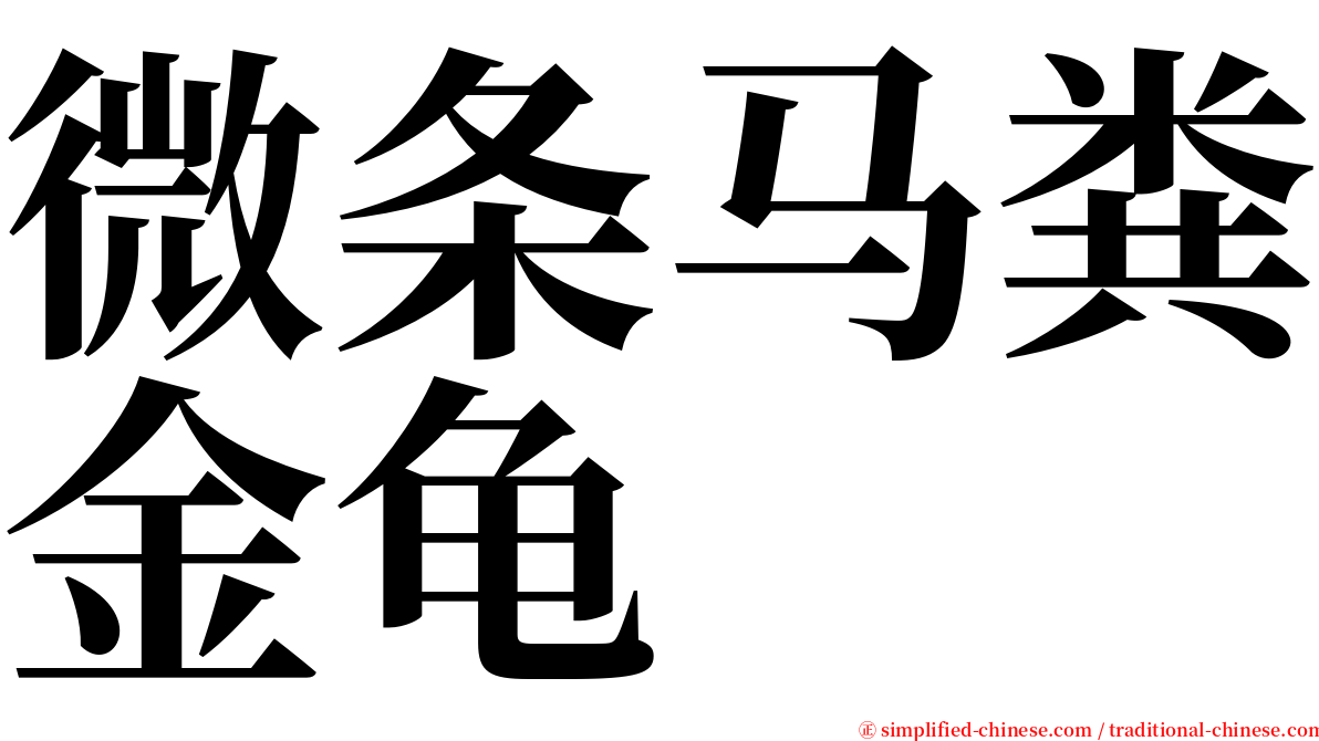 微条马粪金龟 serif font