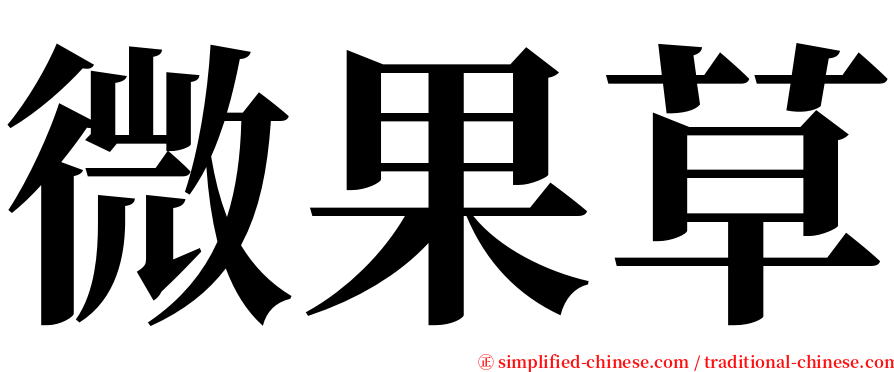 微果草 serif font