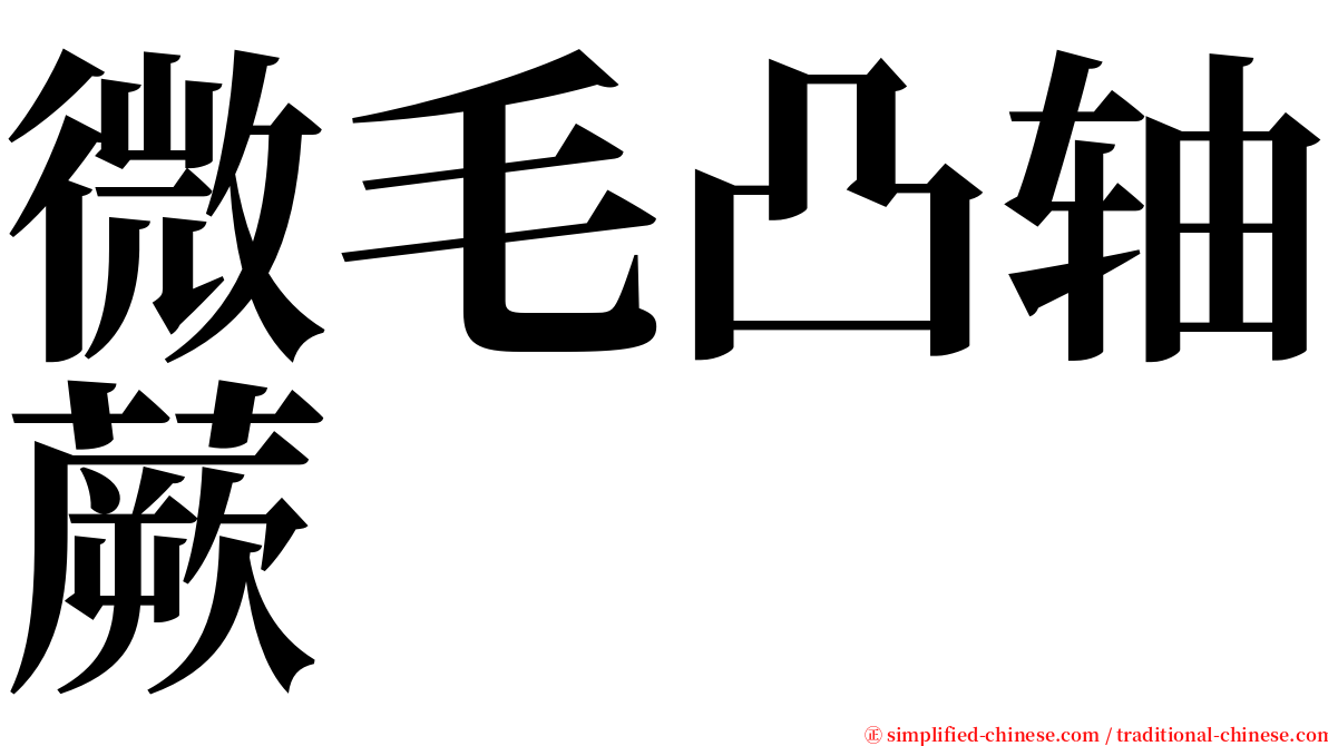 微毛凸轴蕨 serif font