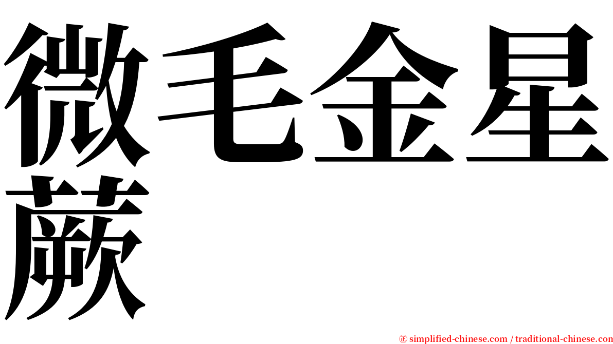 微毛金星蕨 serif font