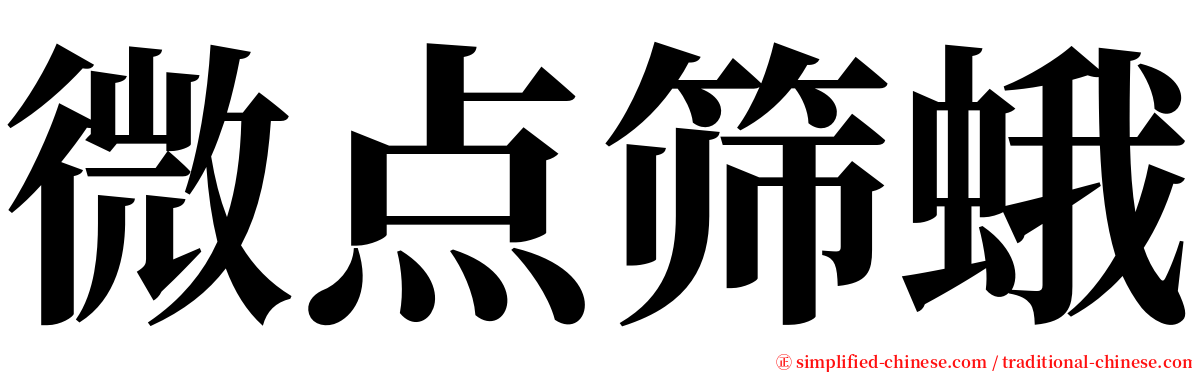 微点筛蛾 serif font